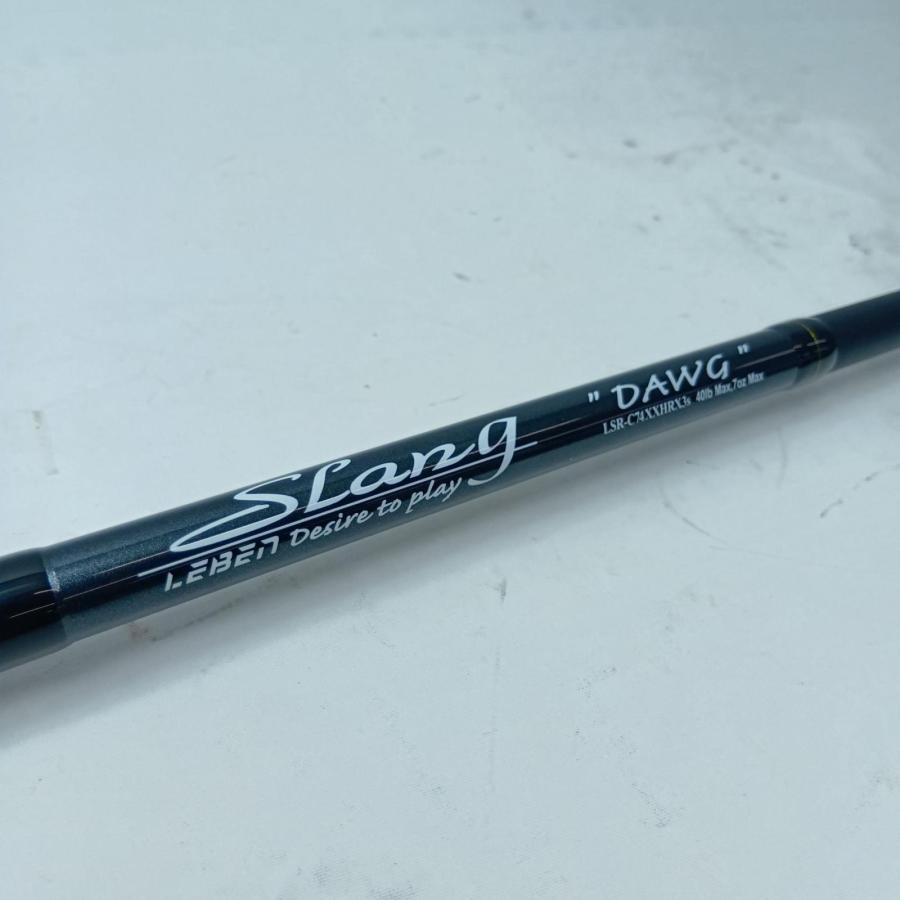 DESIGNO デジーノ バスロッド スラング LSR-C74XXHRX3s WD Custom 竿袋