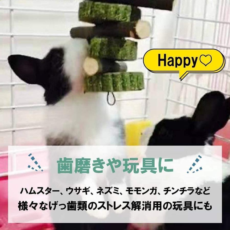 Allbright ハムスター 歯磨き ウサギ チンチラ リス おもちゃ 小動物 噛む ストレス解消 吊り下げ 丸円 Big Bear Store 通販 Yahoo ショッピング