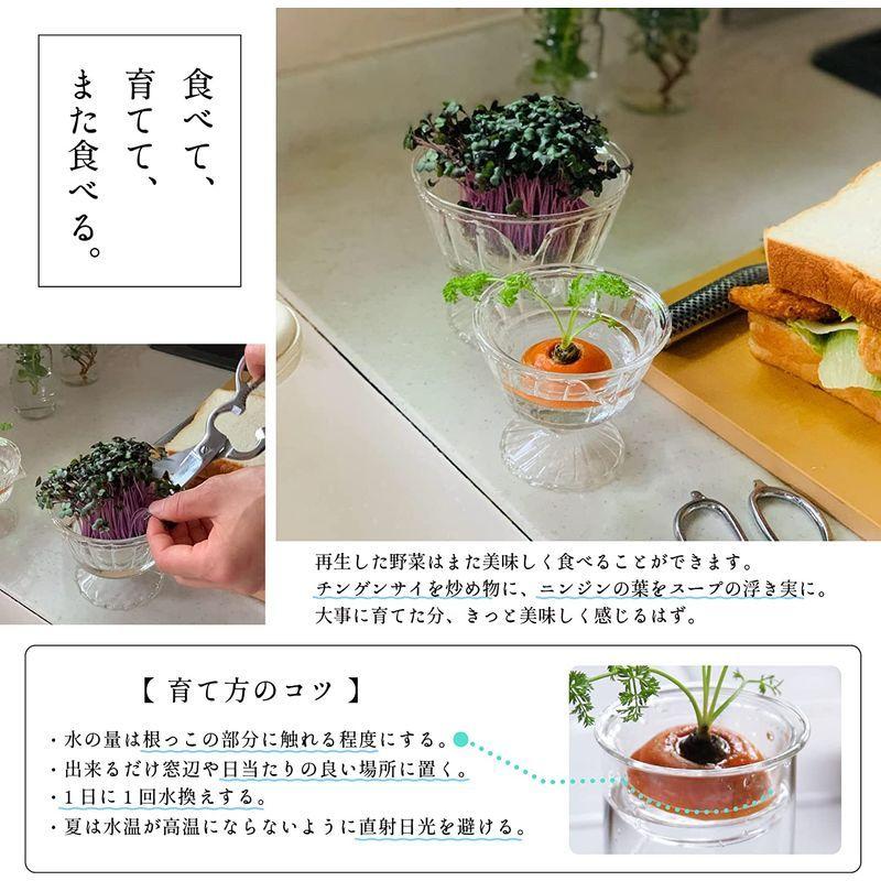 市場 リボベジガラス 水耕栽培 ベース