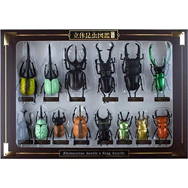 ヘラクレスリッキーブルー