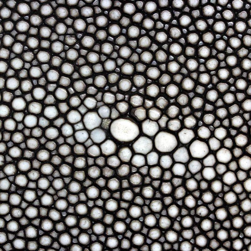 Revetta エイ革 長財布 ブラウン 茶色 ラウンドファスナー 財布 ガルーシャ スティングレイ レザー メンズ 本革 075-2stw エイ革 長財布 ブラウン 茶色 ラウンドファスナー 財布 ガルーシャ スティングレイ レザー メンズ 本革 2stw