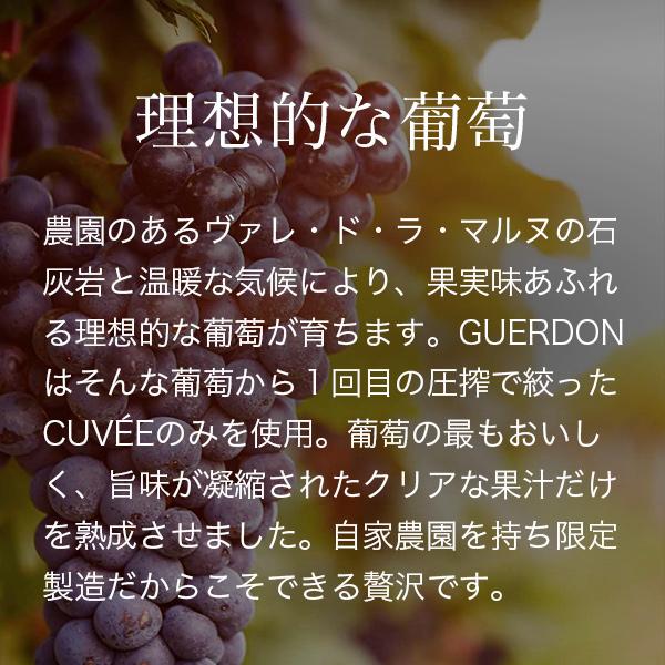 シャンパン ワイン プレミアム シャンパーニュ 送料無料 ガードン