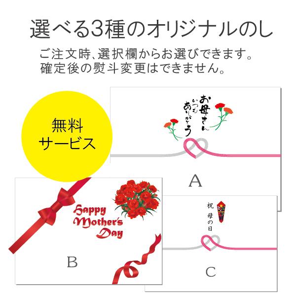 合同酒精 母の日 チューハイ 酎ハイ 飲み比べ ギフト セット 枝付き