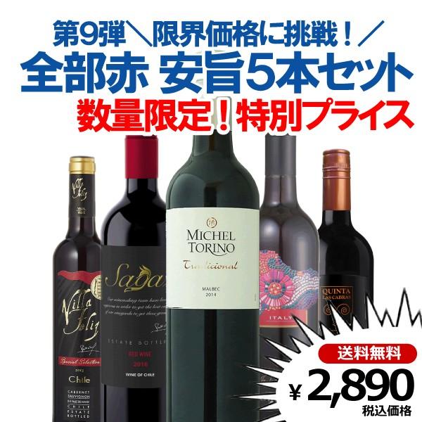 赤ワインセット 送料無料 第9弾 限界価格に挑戦 安旨ワイン 全部赤5本セット｜bigbossshibazaki