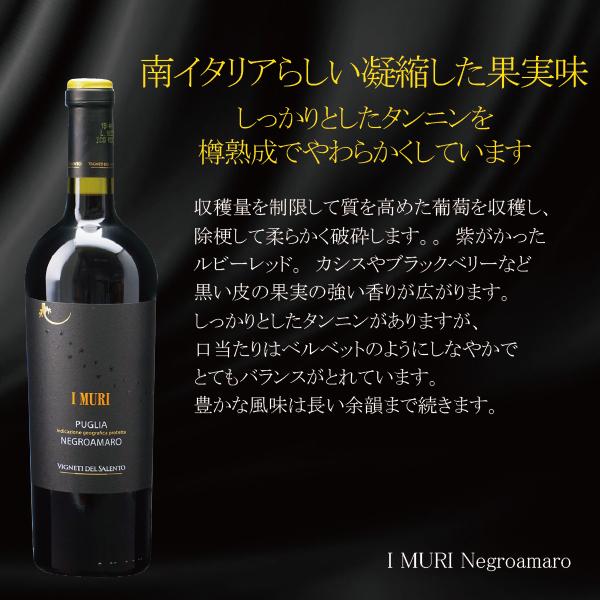 ワイン 赤 ワインセット wine 送料無料 高品質フルボディ 750ml×2本