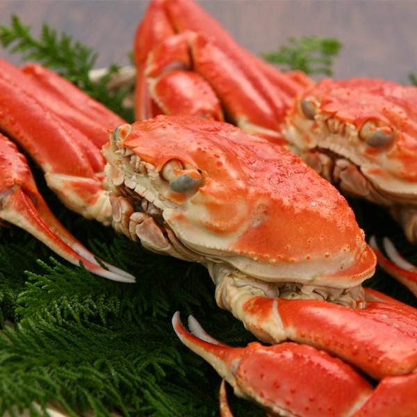 お中元 御中元 ギフト 産地直送 Kmj かに ズワイガニ 送料無料 ずわい蟹 K9100 酒のビッグボス 通販 Paypayモール