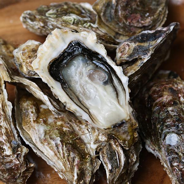 生牡蠣 生食用 大田市場直送 山小三 殻付き かき カキ オイスター 国内産真牡蠣 宮城県志津川 モンサンリックS 1個 クール便 : 酒の ...