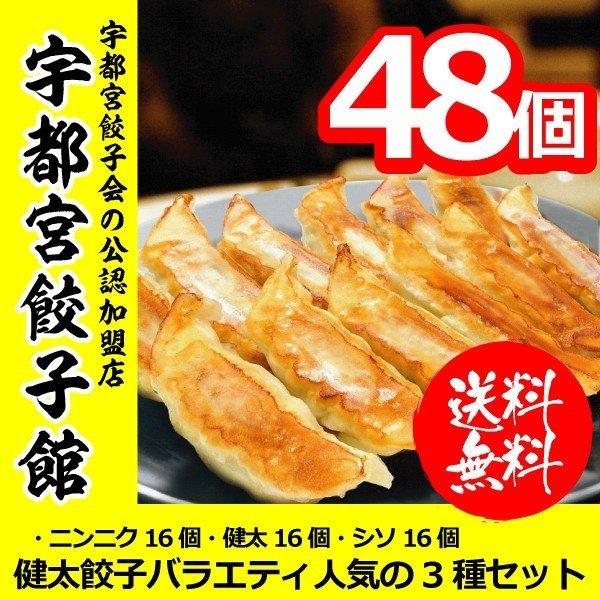 餃子 ぎょうざ 点心 ギフト 送料無料 宇都宮餃子館 人気の3種類セット 20g×48個 食品・冷凍品 メーカー直送 さくら食品｜bigbossshibazaki