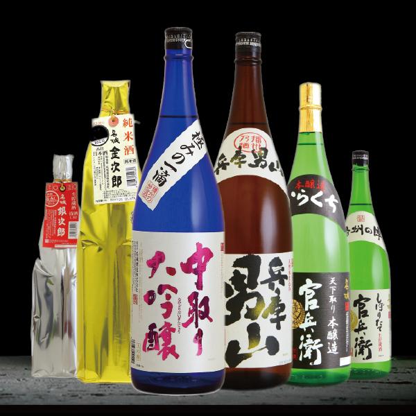 日本酒セット 一升瓶 送料無料 名城 最強6本飲み比べセット 1800ml×6本