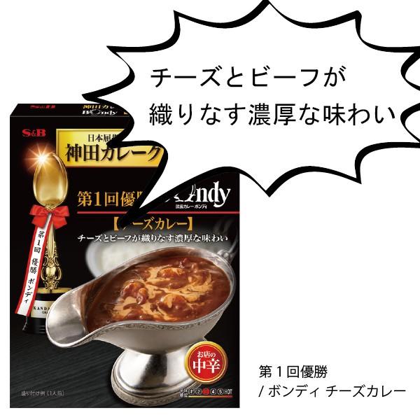 カレー Curry レトルト S B Sb 神田カレーグランプリ 第1回優勝 欧風カレーボンディ チーズカレー お店の中辛 180g 酒のビッグボス 通販 Paypayモール