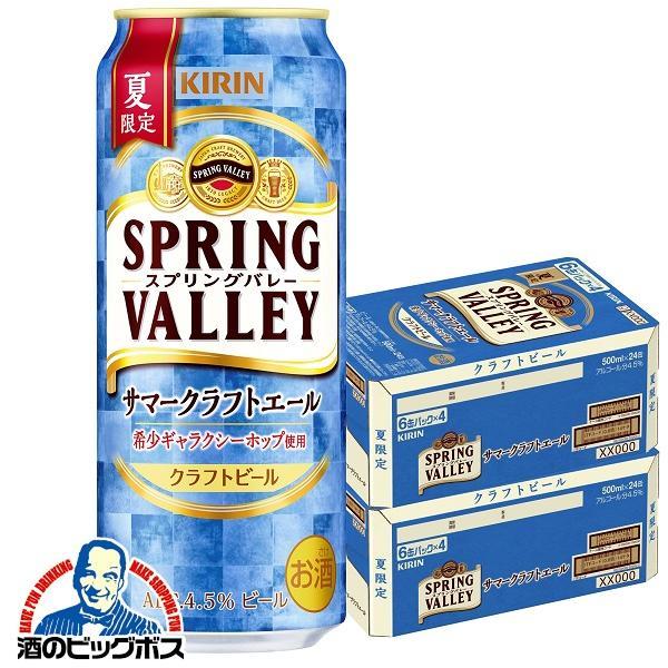 キリン（KIRIN） クラフトビール beer 送料無料 スプリングバレー