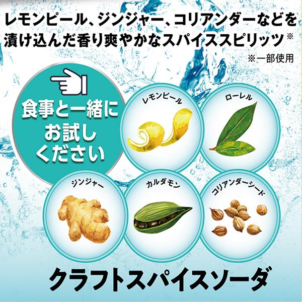 クラフトスパイスソーダ 無糖 チューハイ 缶 酎ハイ サワー 送料無料 優良配送 サッポロ クラフトスパイスソーダ 350ml×2ケース/48本(048)『YML』｜bigbossshibazaki｜03