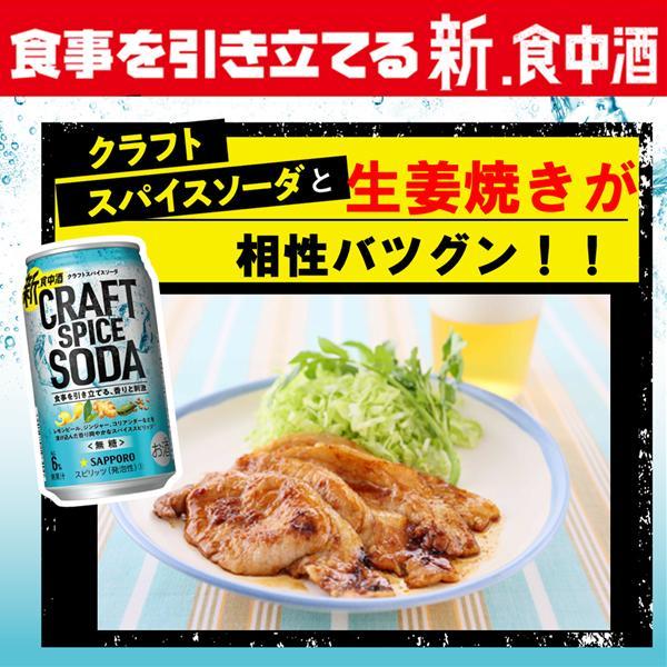 クラフトスパイスソーダ 無糖 チューハイ 缶 酎ハイ サワー 送料無料 サッポロ クラフトスパイスソーダ 500ml×1ケース/24本(024)『YML』｜bigbossshibazaki｜10