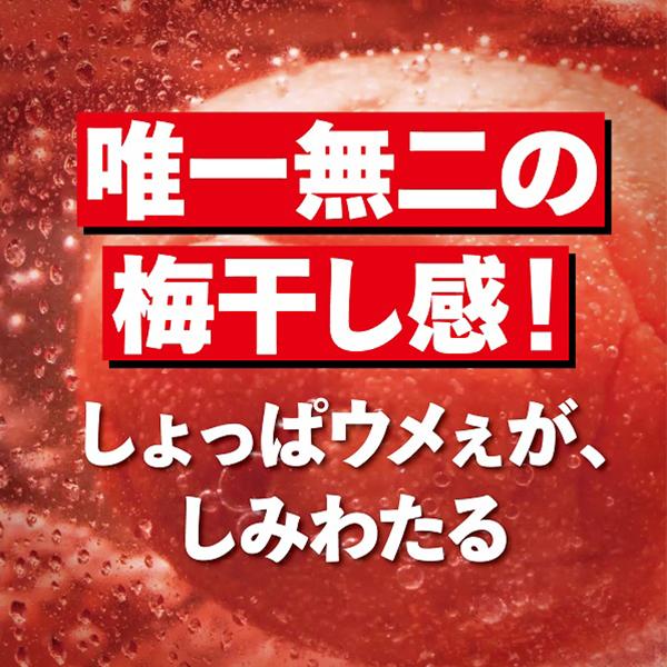 チューハイ 缶チューハイ 酎ハイ サワー サッポロ 男梅サワー 500ml×1ケース/24本(024)『BSH』｜bigbossshibazaki｜02