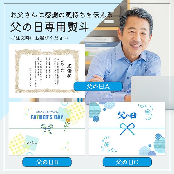 父の日 ビール beer ギフト セット プレゼント 80代 70代 60代 2024 詰め合わせ 送料無料 優良配送 サッポロ YMB3D エビスマイスター 瓶『GFT』｜bigbossshibazaki｜03