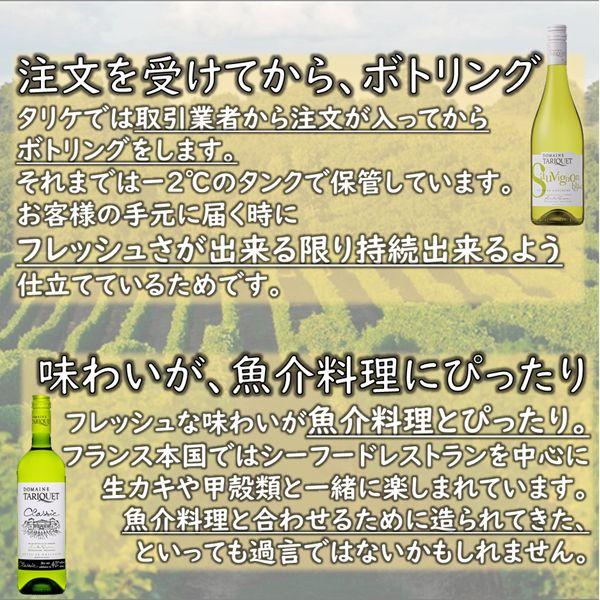 シーフードに合うワイン 白ワイン wine サッポロ ドメーヌ タリケ レゼルヴ 750ml×1本『FSH』フランスワイン｜bigbossshibazaki｜14