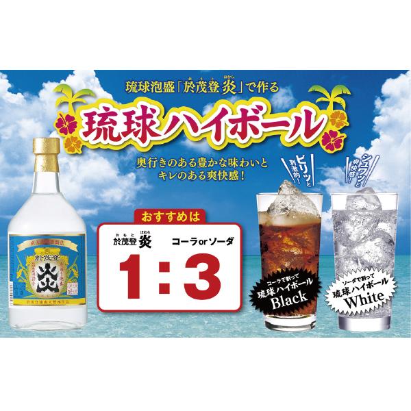 宝酒造 焼酎 泡盛 宝 タカラ 酒造 琉球泡盛 於茂登 炎 ほむら 720ml