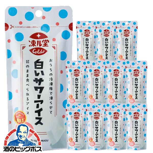 友桝飲料 凍らせて食べるアイス パウチタイプ 送料無料 友枡飲料 凍ル