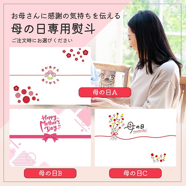 揖保乃糸 訳あり そうめん 素麺 ギフト 詰め合わせ セット 送料無料