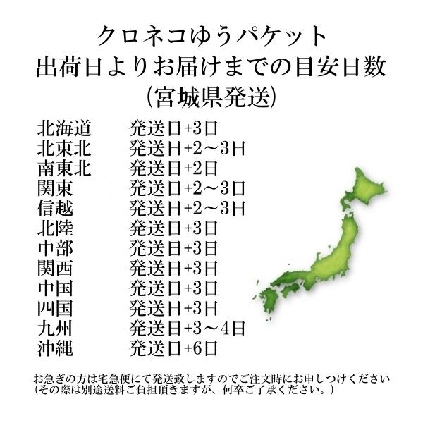 シチズン Q&Q チプシチ 10気圧防水 カラーウォッチ ブラック VR44-002｜bigboys-c｜02