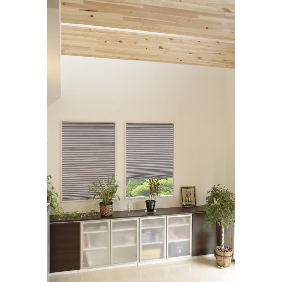 100 の保証 ハニカムスクリーン おしゃれ 遮光 簡単取付 つっぱり棒付き 幅59cmx丈135cm 格安 Www Aqtsolutions Com