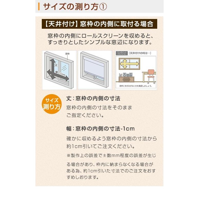 ロールスクリーン ロールカーテン オーダー 透明 塩化ビニール