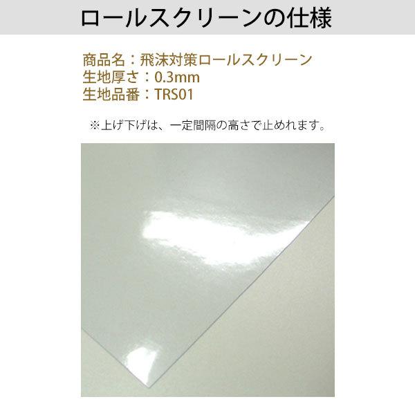 ロールスクリーン ロールカーテン オーダー 透明 塩化ビニール