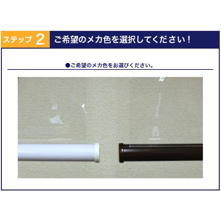 ロールスクリーンよりお手軽なタペストリー 吊り下げ オーダー 透明 塩化ビニール 幅51-80cm丈81-120cm