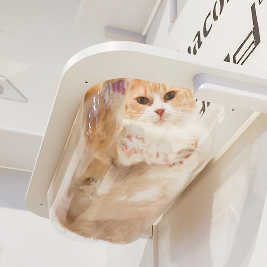animacolle アニマコレ キャットステップ キャットタワー キャットバス 