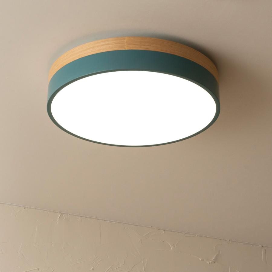 BRID（ブリッド） シーリングライト 照明器具 調光 調色 LED内蔵