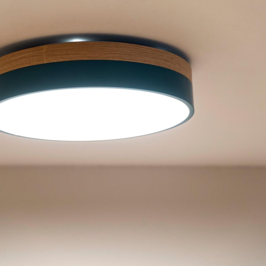 BRID（ブリッド） シーリングライト 照明器具 調光 調色 LED内蔵
