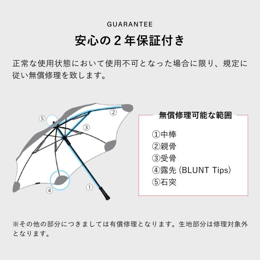 BLUNT ブラント 長傘 雨傘 65cm クラシック メンズ レディース 耐風