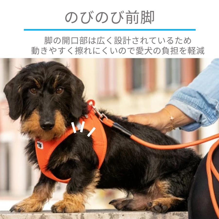 カーリー Curli ハーネス エアメッシュ ベスト クラスプ 3XS-S 小型犬対応 胴輪 歩行補助 CLASP VEST AIR MESH HARNESS | curli | 19