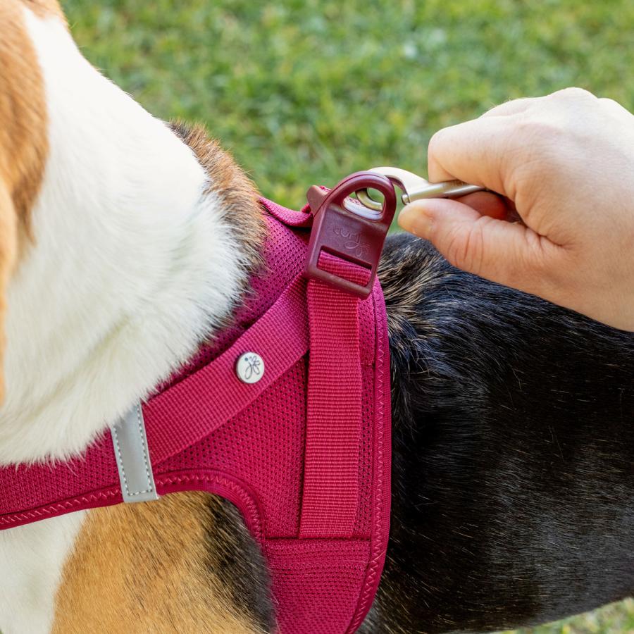 カーリー Curli ハーネス エアメッシュ ベスト クラスプ M-XL 中型犬対応 胴輪 歩行補助 CLASP VEST AIR MESH HARNESS | curli | 23