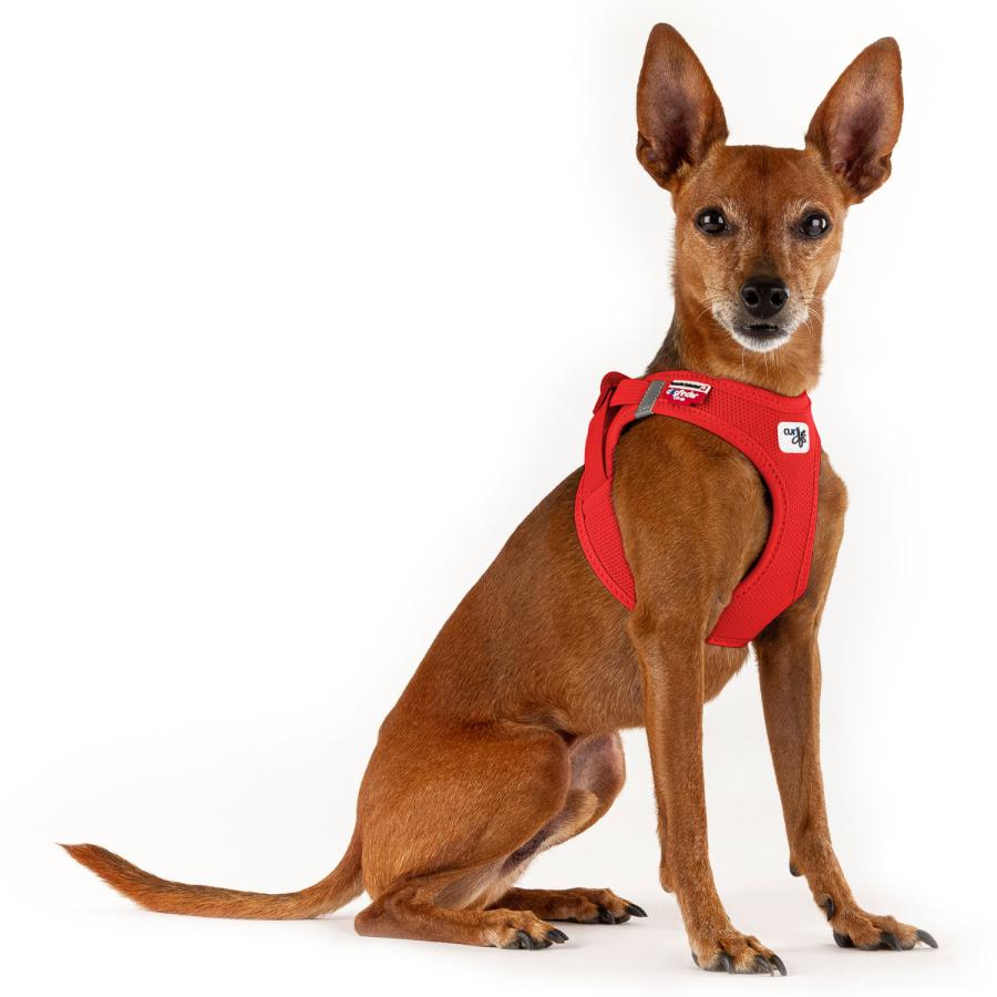 カーリー Curli ハーネス エアメッシュ ベスト クラスプ M-XL 中型犬対応 胴輪 歩行補助 CLASP VEST AIR MESH HARNESS | curli | 21