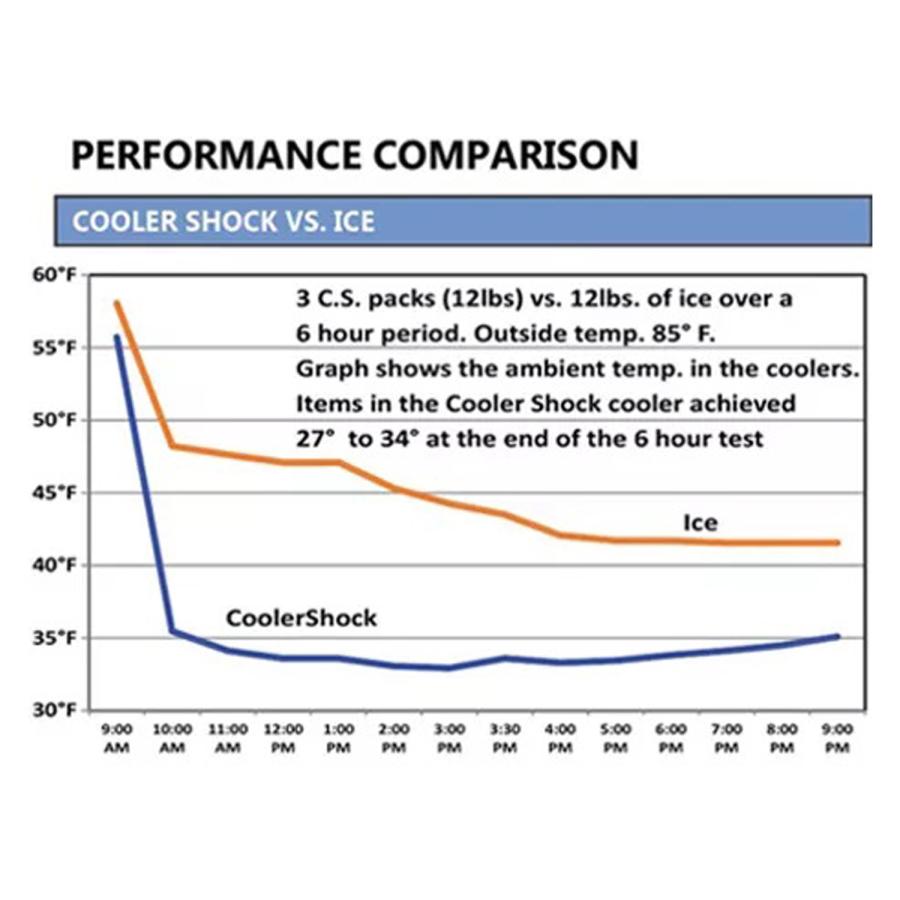 クーラーショック cooler shock 保冷剤 Sサイズ 5個セット 長時間 ジェル アイスパック 保冷パック 氷点下 長持ち 7CSSSET | COOLER SHOCK | 10