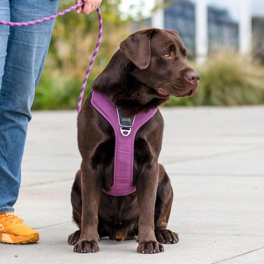 DOG Copenhagen ドッグコペンハーゲン ハーネス 犬用