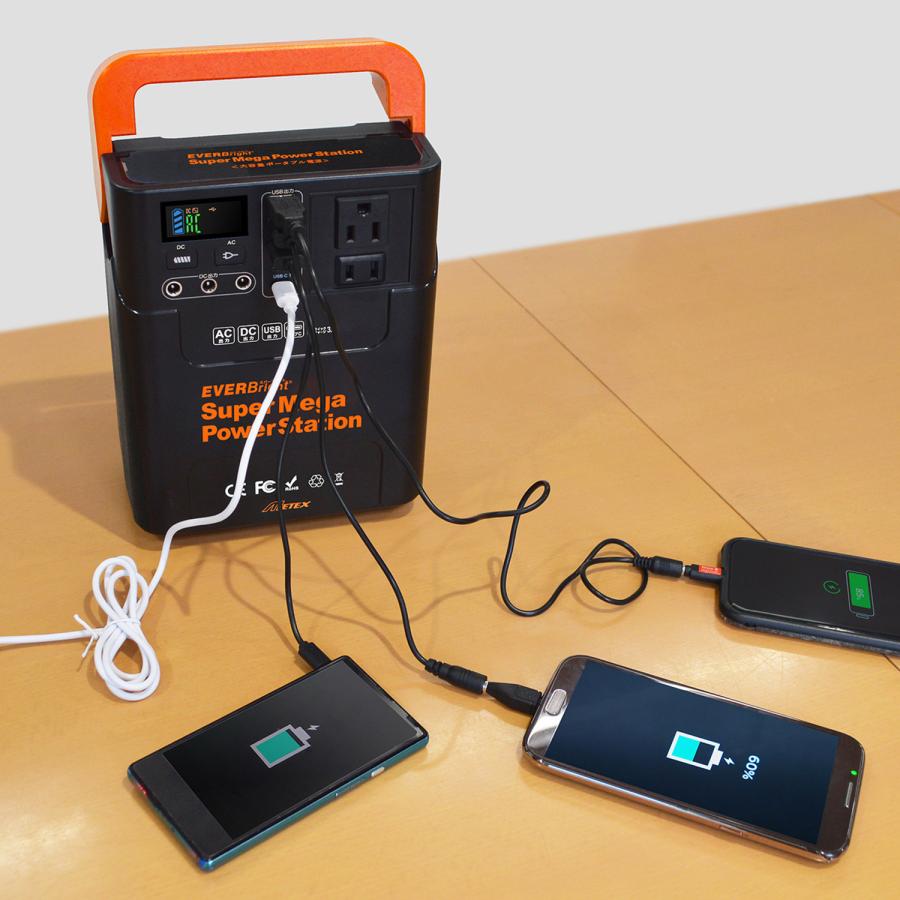 EVERBright エバーブライト ポータブル電源 ソーラーパネル 2点