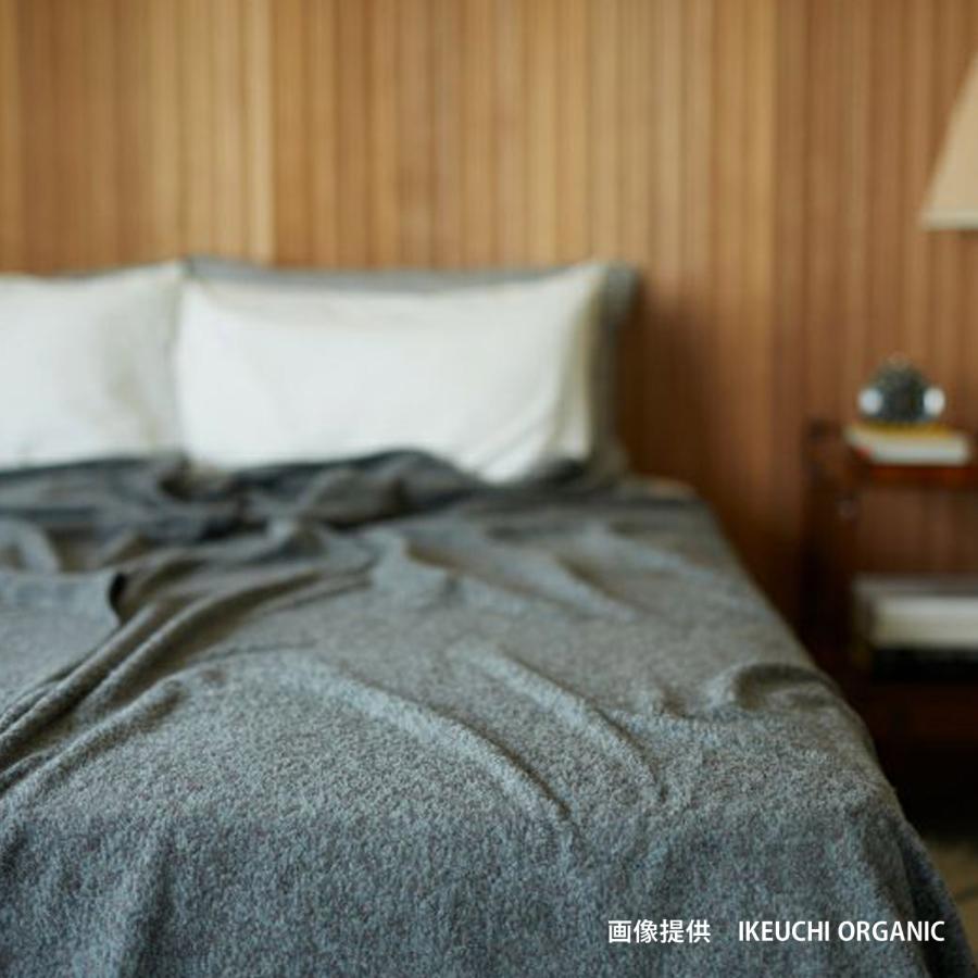 イケウチオーガニック（IKEUCHI ORGANIC） タオルケット バスタオル 綿