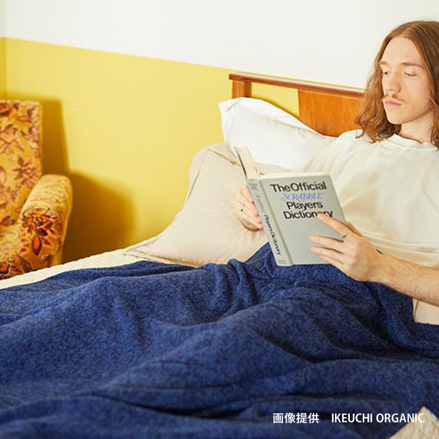 イケウチオーガニック（IKEUCHI ORGANIC） タオルケット バスタオル 綿