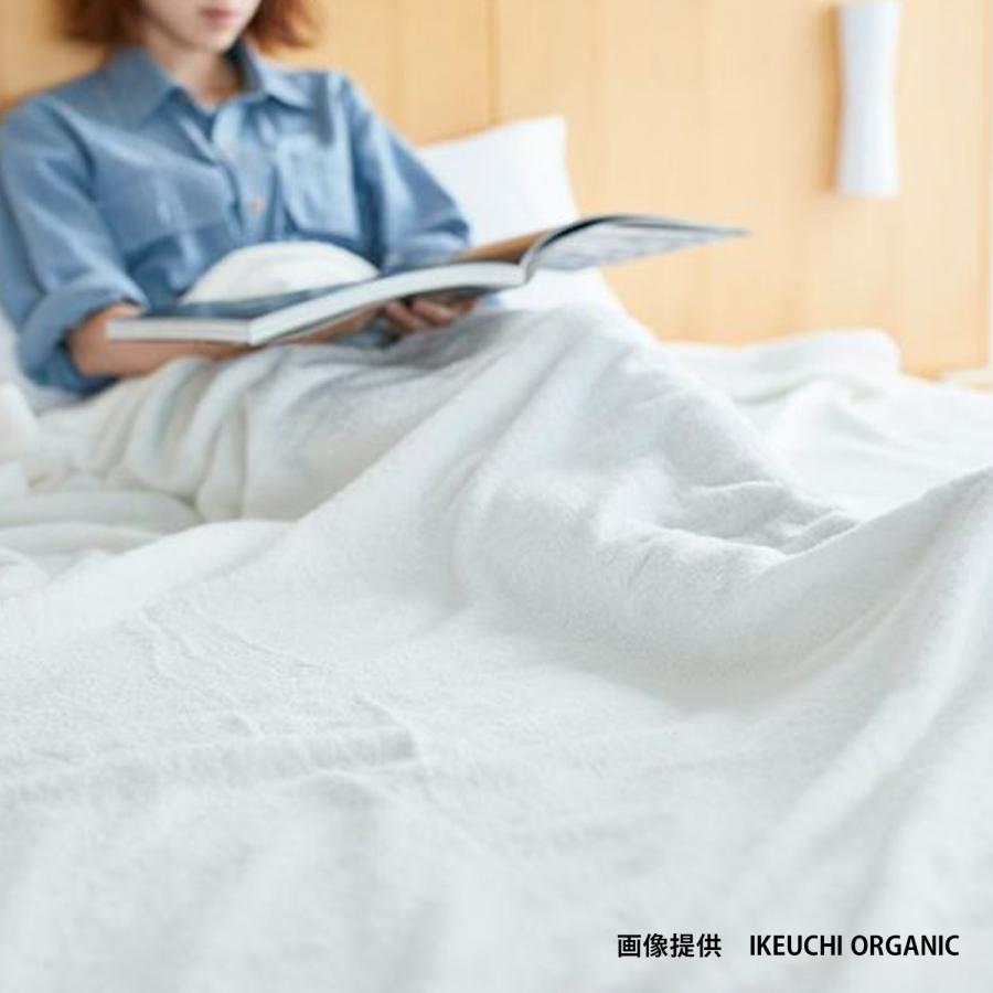 イケウチオーガニック（IKEUCHI ORGANIC） タオルケット バスタオル 綿