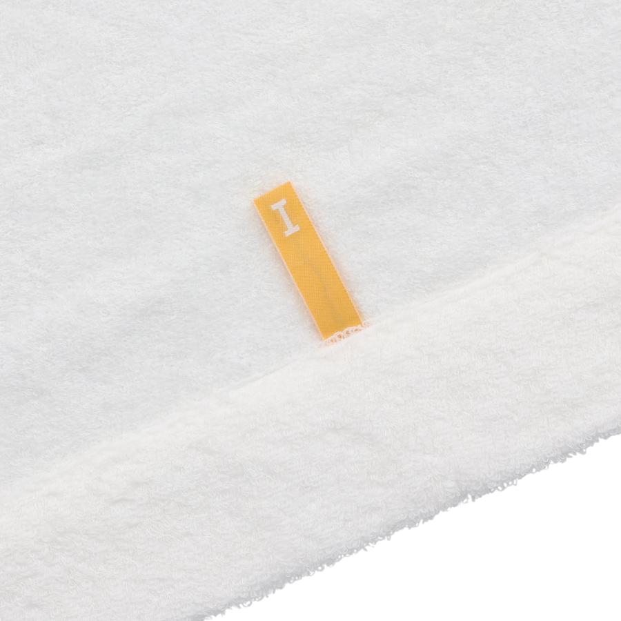 イケウチオーガニック（IKEUCHI ORGANIC） タオルケット バスタオル 綿