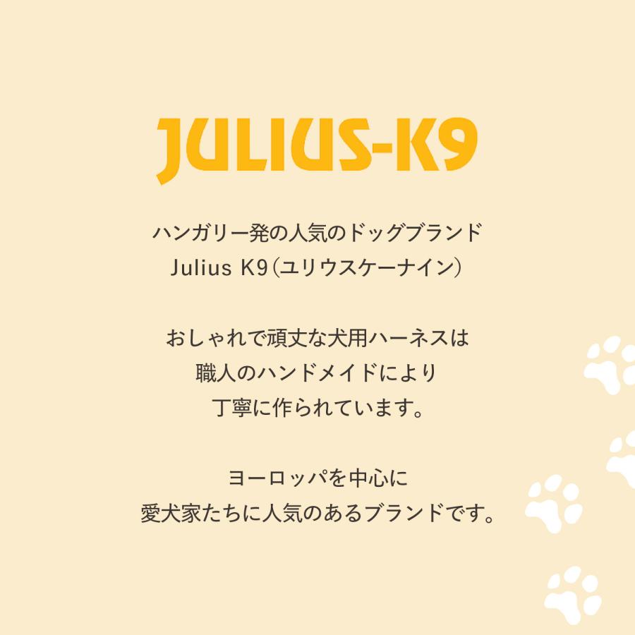 Julius-K9 ユリウスK9 ハーネス IDCパワーハーネス ベルト 中型犬 大型犬 ユリウスケーナイン 胴輪 歩行補助 | JULIUS-K9 | 19