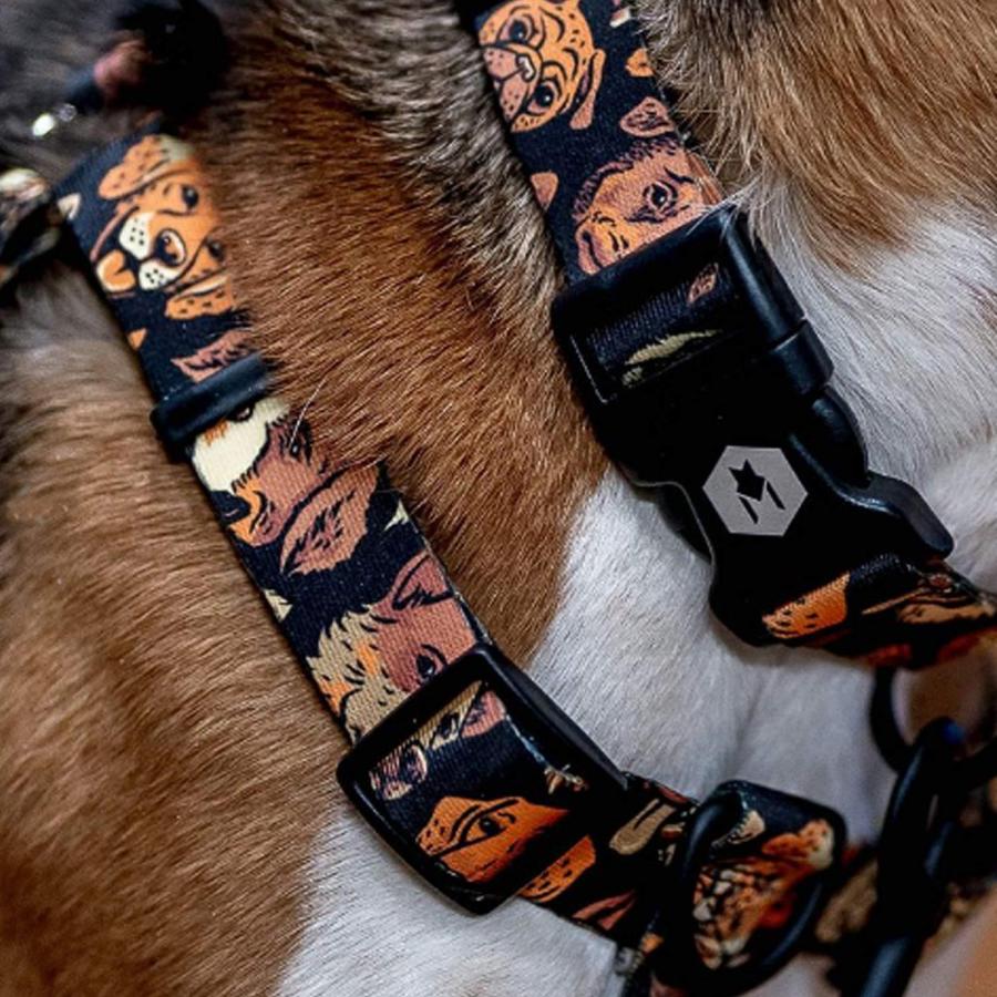 WOLFGANG ウルフギャング 首輪 犬用品 大型犬 Lサイズ カラー COLLAR マン&ビースト MAN&BEAST｜biget｜27