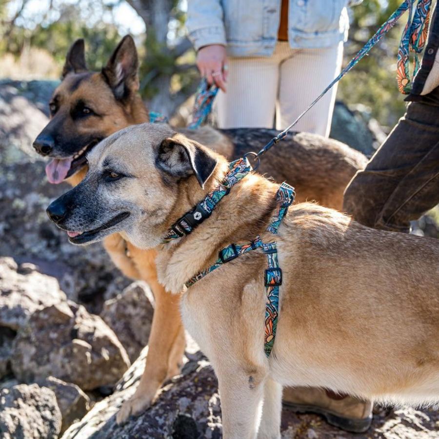WOLFGANG ウルフギャング ハーネス 犬 Lサイズ 小型犬 引っ張り 防止 抜けない 介護 ドッグ ペット 丈夫 HARNESS WH-003の画像