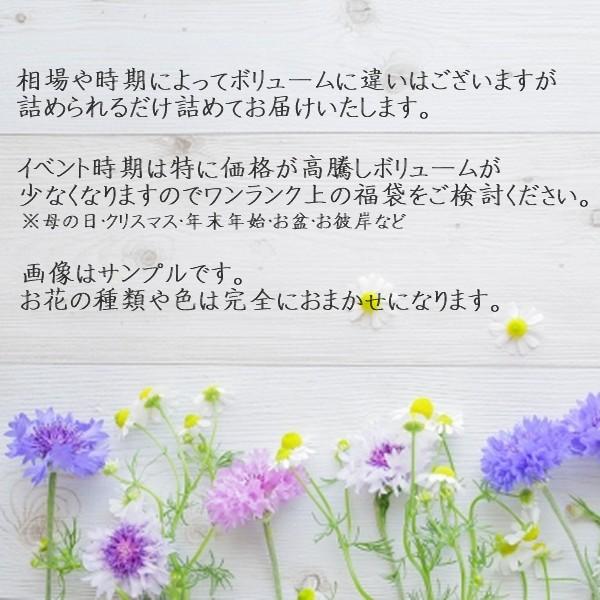 生花の福袋 LLサイズ 切花 6種類以上40本〜70本 花 生花 自宅用 お祝い ギフト フラワーレッスン お悔やみ お墓参り｜bigflower5｜02