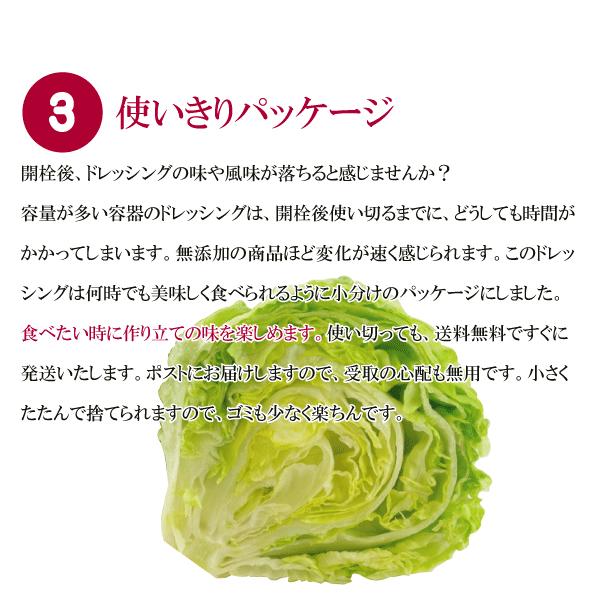 野菜が美味しいディップ風ドレッシング　　オニオンガーリック＆マスタード 200ml×3本セット　手作り無添加｜bigfoota-shop｜04