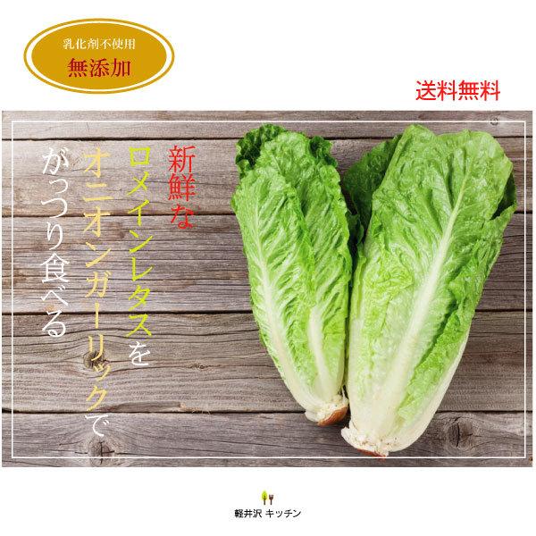 野菜が美味しいディップ風ドレッシング　　オニオンガーリック＆マスタード 200ml×3本セット　手作り無添加｜bigfoota-shop｜07