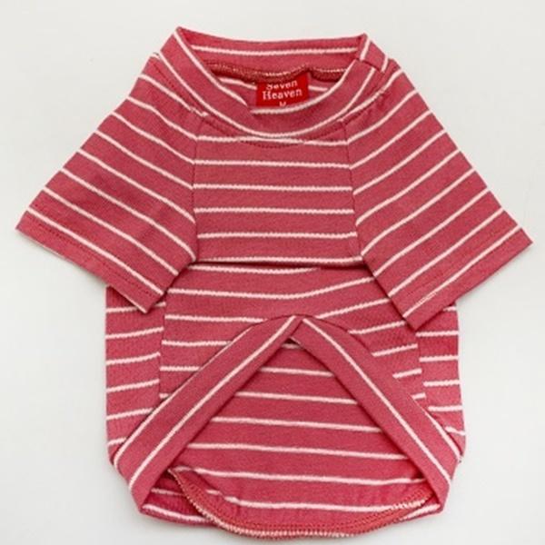 ペットとお揃い 犬用 猫用 服 ボーダー 動物用Sサイズ 人間用フリーサイズ ホワイト ブルー ピンク かわいい 部屋着 一緒にお散歩 送料込み |  | 13