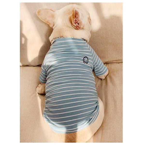 ペットとお揃い 犬用 猫用 服 ボーダー 動物用Sサイズ 人間用フリーサイズ ホワイト ブルー ピンク かわいい 部屋着 一緒にお散歩 送料込み |  | 07